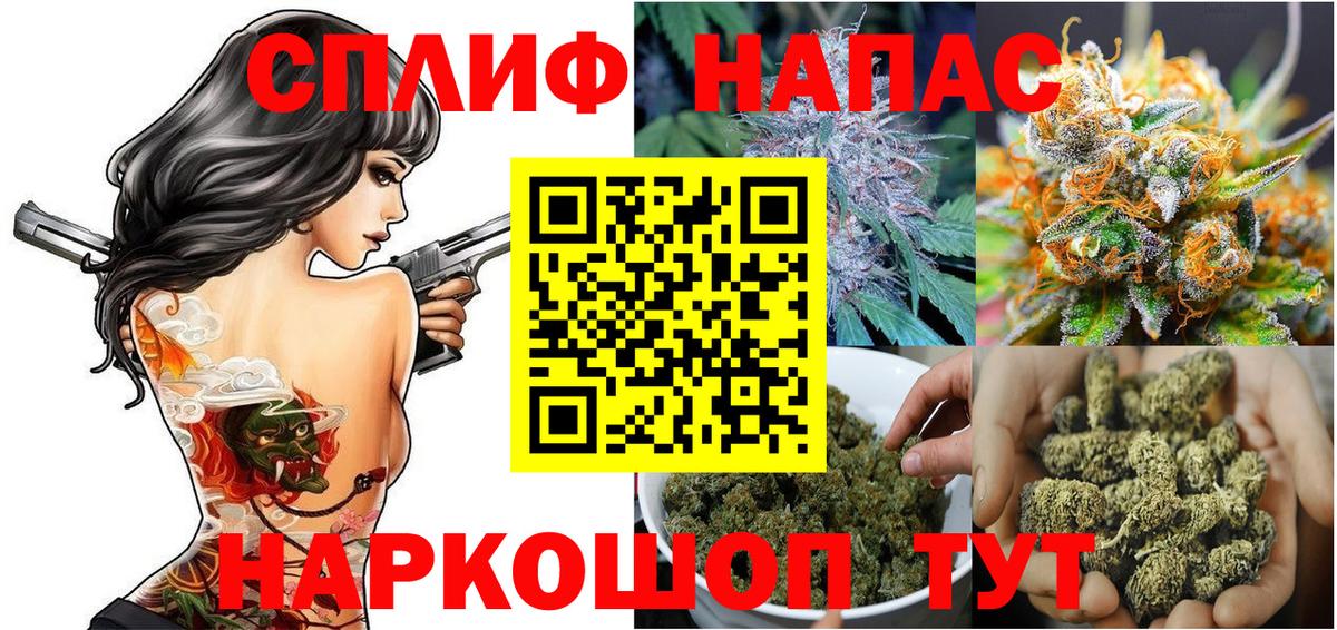 Канабис гибрид  Каннабис планчик  Шишки марихуана план  Вход с VPN  Изобильный 